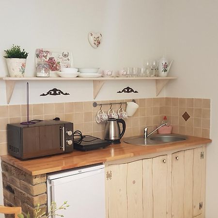 Apartamenty Zielona Owieczka 니에지차 자메크 외부 사진