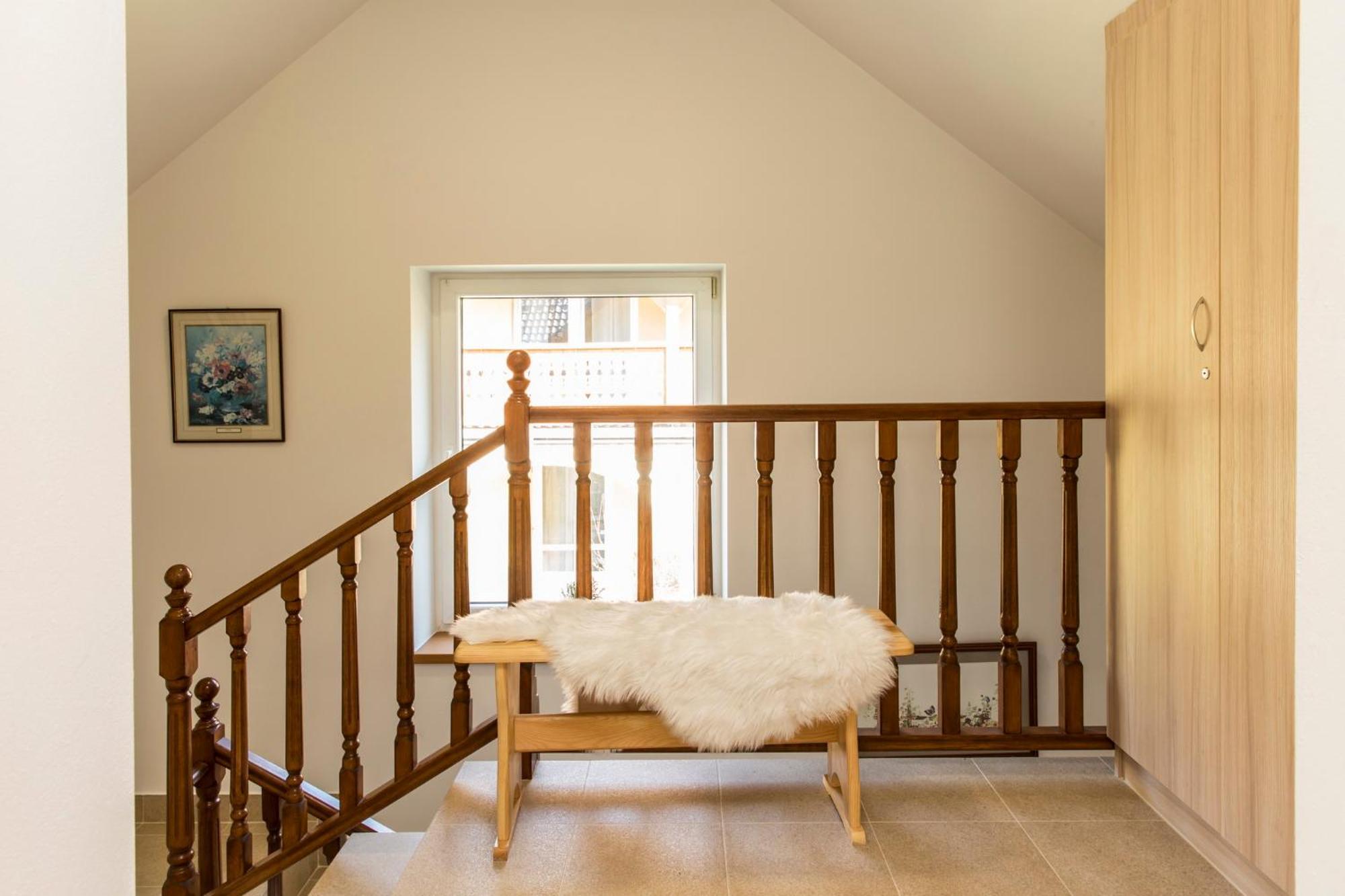 Apartamenty Zielona Owieczka 니에지차 자메크 외부 사진